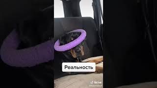 11 июля 2020 г.