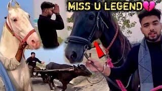 GANGA स्नान 2023 RECAP | MILKHA & RAJHANSH Miss You Legends 