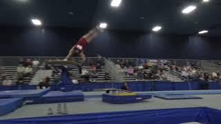 Brody Malone - Vault - 2020 Winter Cup Senior Prelims