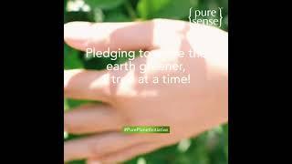 Pure Sense - #PurePlantInitiative #6
