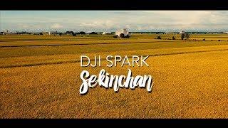 Sekinchan - Golden Paddy field (Drone Aerial view)