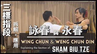 詠春 與 永春拆解三標指段 應用 Wing Chun & Weng Chun Din-Explaining the Section of Sham Biu Tze