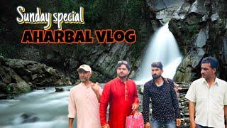 Vlog at Aharbal // with full entertainment …