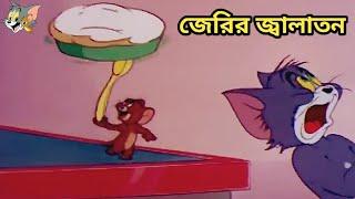 Tom And Jerry | চালাক জেরি বোকা টম | Bangla Funny Dubbing | Rupkotha Multimedia