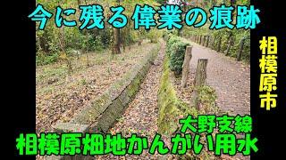 相模原畑地かんがい用水大野支線を踏破してみた