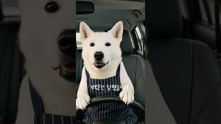 I was a victim of road rage. How did Seoli respond?
