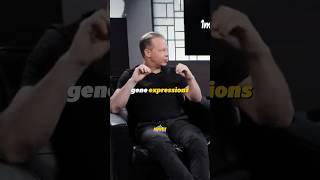 Use the power of meditation to heal your body! (Heal any disease) - Dr. Joe Dispenza