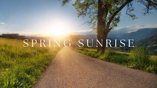 Piano & Guitar for Calm & Relaxation | Sunrise in Spring