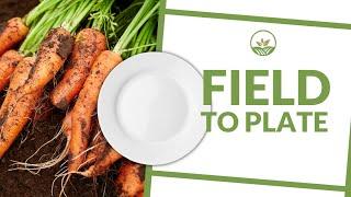 Field to Plate: Carrots