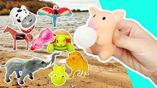 Kids Learn | Animal Names & Facts at the Beach: Elephant Frog Lion Horse Fox