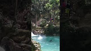 Crazy Vybz at Island Gully Falls #shortsvideo #adventuretravels #trendingshorts #shorts #fypシ゚viral