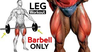 BARBELL ONLY LEG WORKOUT TO BUILD BIG LEGS 