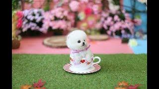 taza de té cachorro ,perro,Video Pomerania #6