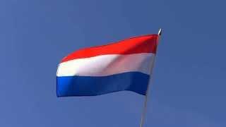 Nederland - Zwaaivlag 30 x 45 cm