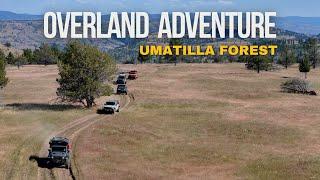 Oregon Overland Adventure | National Forest