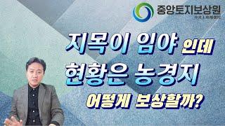 지목이 임야인데 현황은 농경지, 어떻게 보상할까?