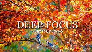 Focus Music for Work and Studying - 4 Hours of Ambient Study Music to Concentrate