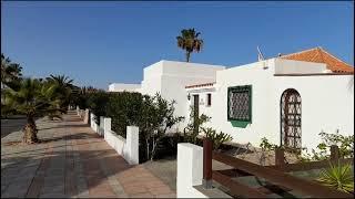 Caleta de Fuste in February Fuerteventura daily walk with a dog.