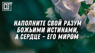 Оставаться стойкими в вере и сильными в любых испытаниях #Библия #Relaxing