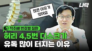 척추 4번 5번?  척추 번호마다 생기는 질환이 다르다?