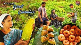 "A Story of Cucumber Cake" | Traditional Village Cooking | Village Breakfast | Red Soil Stories