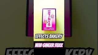 Effects Bakery New Ginger Fuzz Pedal Demo on Korg Volca Kick Bass Synth  #guitar #sound #music