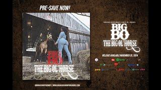 BIG BO - Big Ol' Horse (Lyric Video)