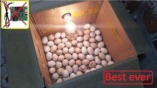 Beat idea to hatch eggs Without an temperature controller ||DIY- HOW TO MAKE EGG INCUBATOR A HOME