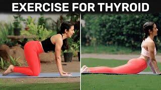 Exercise For Thyroid compilation | Cat Cow Pose | Bhujangasana | @VentunoYoga