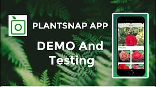 PlantSnap Plant Identification App Demo And Testing