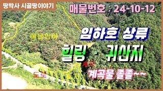 (24. 10. 12) 2차선 지방도로변 아담한 텃밭이 포함된 산림경영 부지.