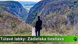 Túlavé labky: Zádielska tiesňava