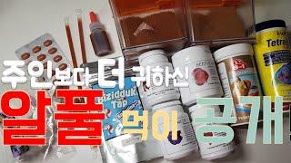 ENG)구피 먹이 종류, 알풀 사료 소개, Guppy foods, 탱써니 물생활, TaengSunny