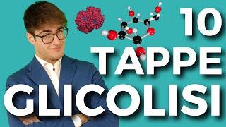 Le 10 tappe della GLICOLISI in meno di 6 minuti | Biologia per il TOLC-MED