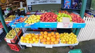 Ye Olde Oyster Cove General Store | Tasmania Tours