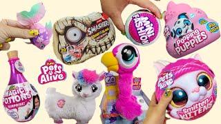 (ASMR) MEGA SET ZURU. NEW TOYS.Mini brands EGGS.FLAMINGO POOPS, POTIONS SLIME,PETS ALIVE,SMASHERS...