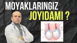 MOYAKLARINGIZ JOYIDAMI