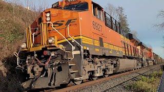 Nature Sounds of BNFS Freight Trains Crossing | the City of White Rock BC Canada