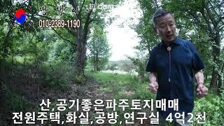 파주광탄면신산리1200평4억2천토지매매전원주택부지공방연구소화실조용한땅산세좋은땅공기좋은땅땅쟁이이창열 광탄면식당매매임대