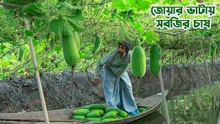 জোয়ার ভাটায় সবজি চাষ || Panorama Documentary