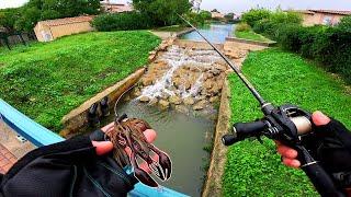 Je pêche le plus Gros Poisson que je n’ai jamais vu, dans un lieu Improbable ! Voyage à Mequinenza