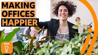 How one office hack can make us happier at work | BBC Ideas