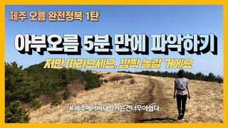 제주 아부오름 5분 만에 정리해드릴게요. 제주오름을 가장 쉽게 경험합니다.