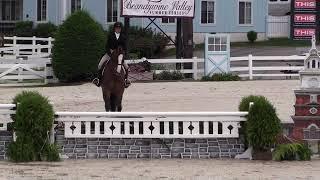 Video of BOSSA NOVA ridden by KATIE RAY from ShowNet!