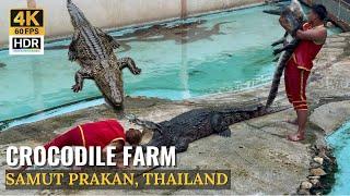 [SAMUT PRAKAN] Samut Prakan Crocodile Farm "The World’s Largest Crocodile Farm"| Thailand [4K HDR]