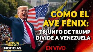 COMO EL AVE FÉNIX: triunfo de Trump divide a Venezuela.