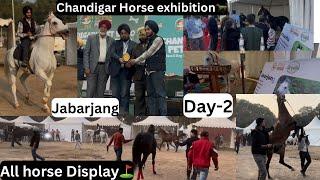 Chandigarh Horse Exhibition da day-2//Sare Ghodya da dita geda️