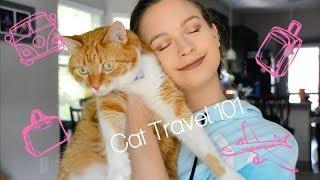 HOW I TRAVEL WITH MY CAT | LONG DISTANCE CAR RIDES