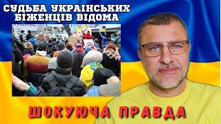 Коли я повернуся в Україну? Майбутнє українських біженців вже відомо.