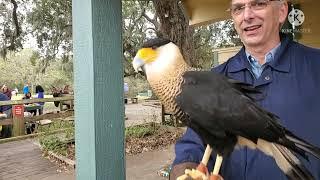 Brazos bend state park